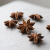 Star Aniseed Oil