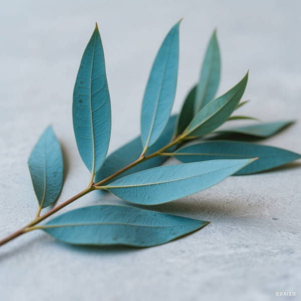 Eucalyptus Oil