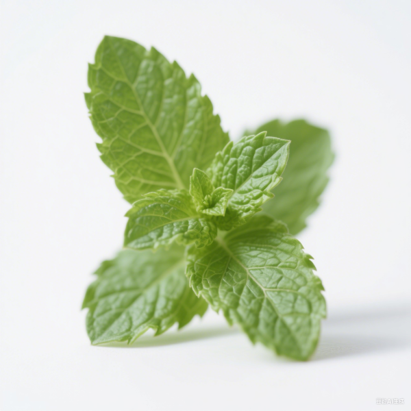 Peppermint Oil