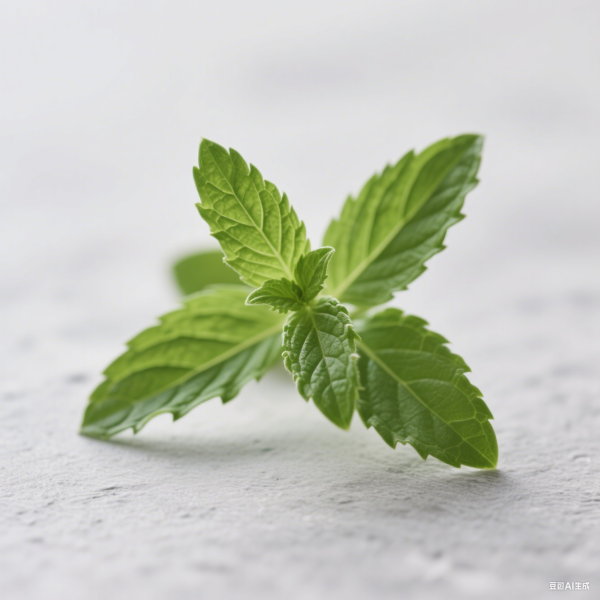 Spearmint Oil